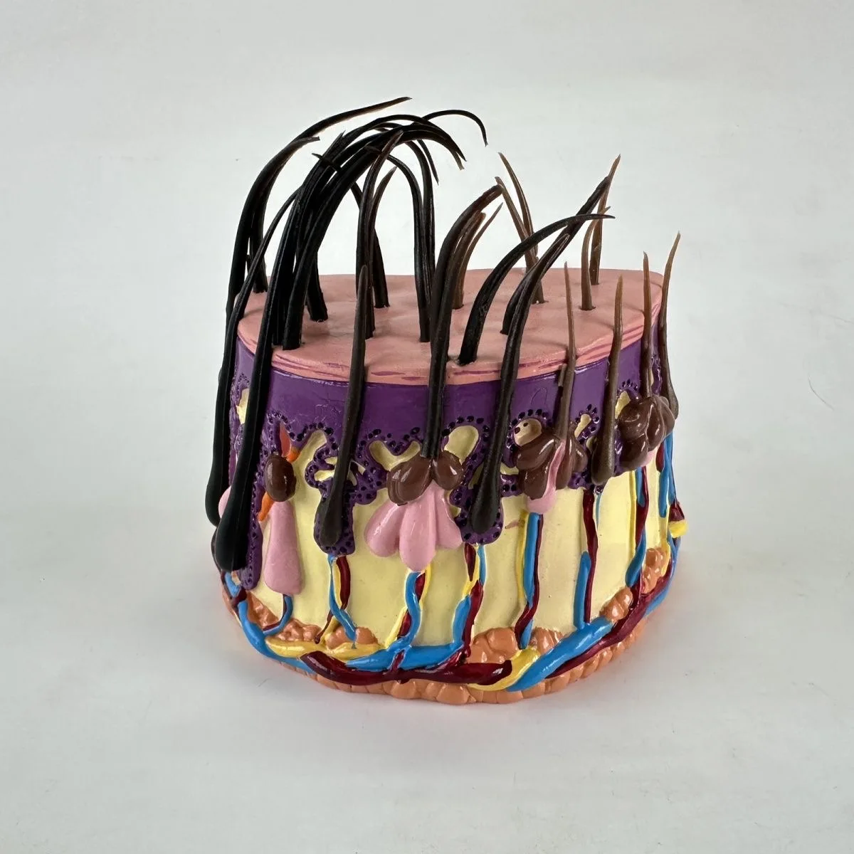 Hair Growth Process Anatomical Model Hair Follicles Amplification Human Skin Anatomy Teaching Leaning Model
Hair Growth Process Anatomical Model Hair Follicles Amplification Human Skin Anatomy Teaching Leaning Model
