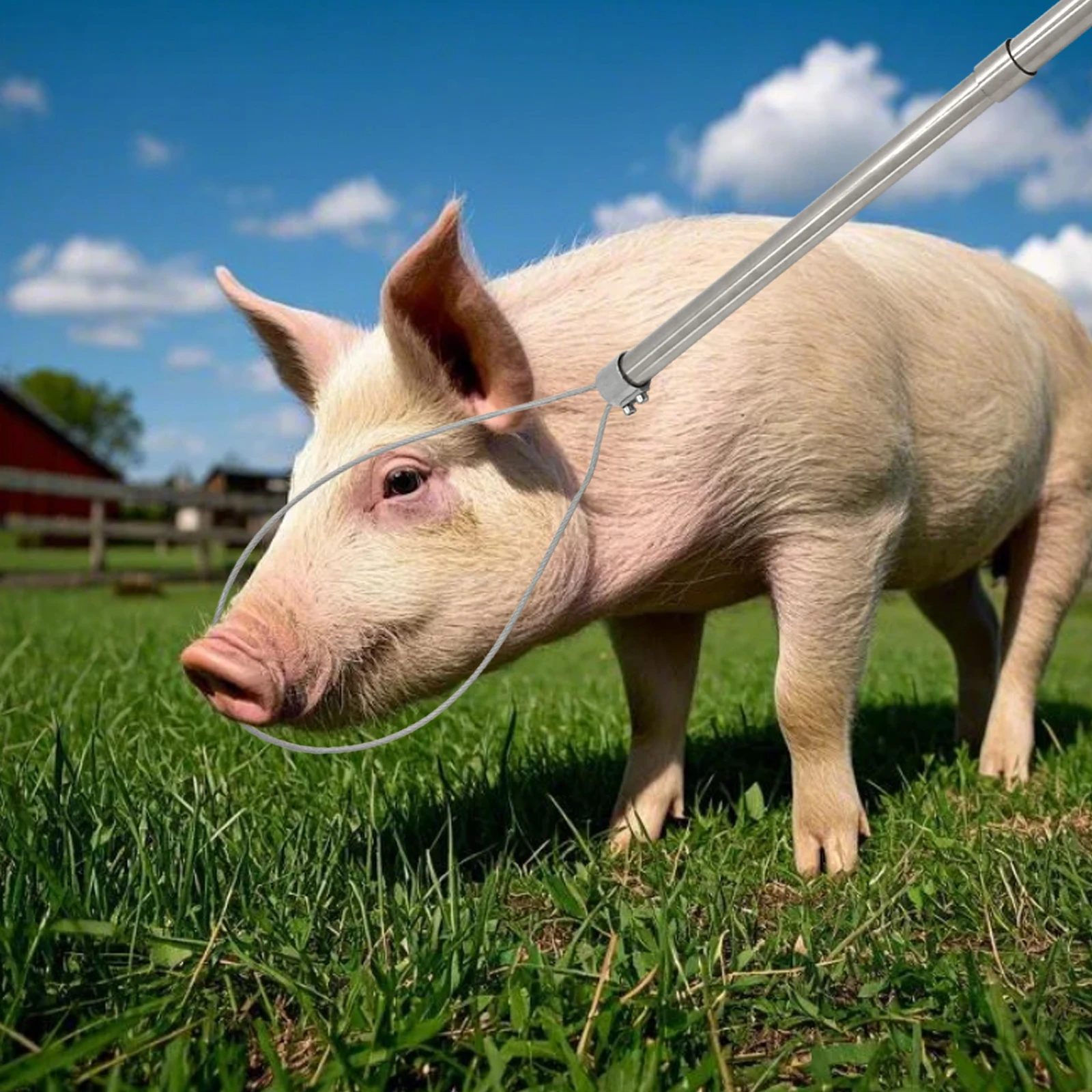 1Pc Stainless Steel T-Type Pig Catcher Pole, Wire Rope Heavy Duty Animal Catch Lasso with Stretchable Handle,For Farm Livestock
1Pc Stainless Steel T-Type Pig Catcher Pole, Wire Rope Heavy Duty Animal Catch Lasso with Stretchable Handle,For Farm Livestock