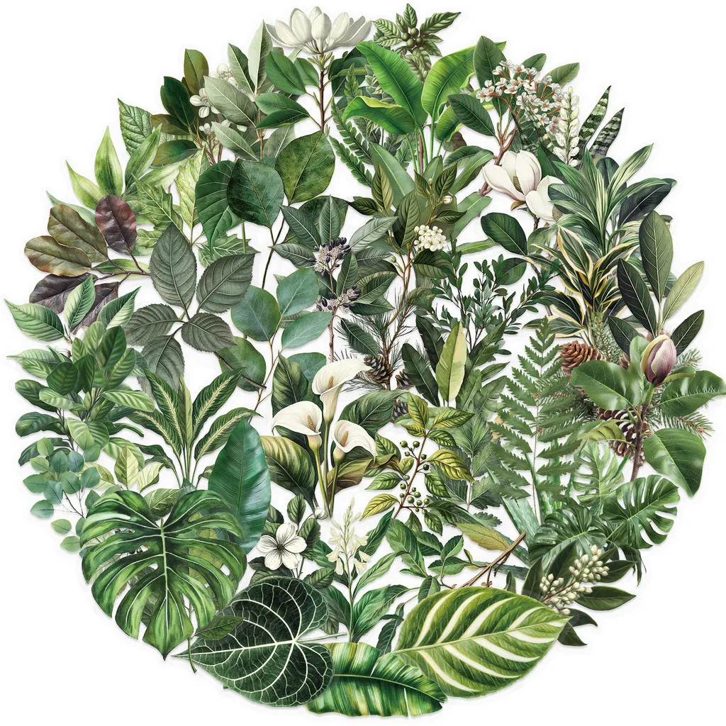 50Pcs Transparent Green Leaf PET Stickers Waterproof Cartoon Plant Decals for Guitar Notebook Journal Decor Papery Pop Store
50Pcs Transparent Green Leaf PET Stickers Waterproof Cartoon Plant Decals for Guitar Notebook Journal Decor Papery Pop Store