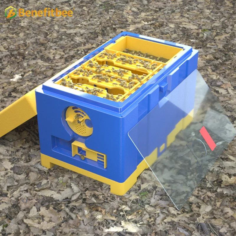 Newest HDPE Plastic Queen Mating Box, Mini Beehive Nuc Box for Beekeeping
Newest HDPE Plastic Queen Mating Box, Mini Beehive Nuc Box for Beekeeping