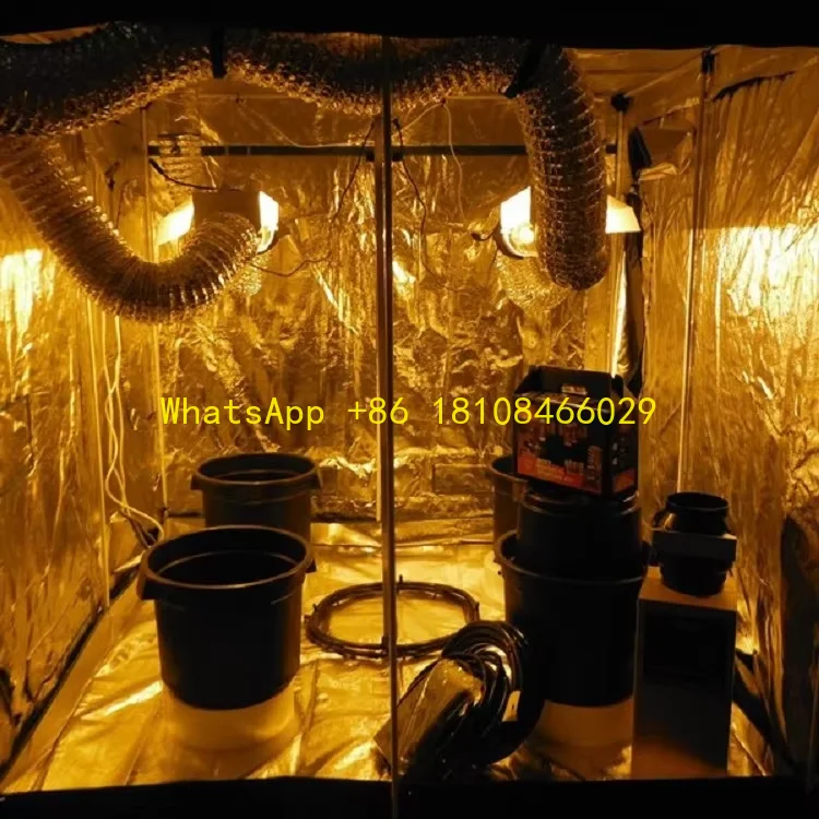 Grow Tent Skyplant Indoor Hydroponic
Grow Tent Skyplant Indoor Hydroponic