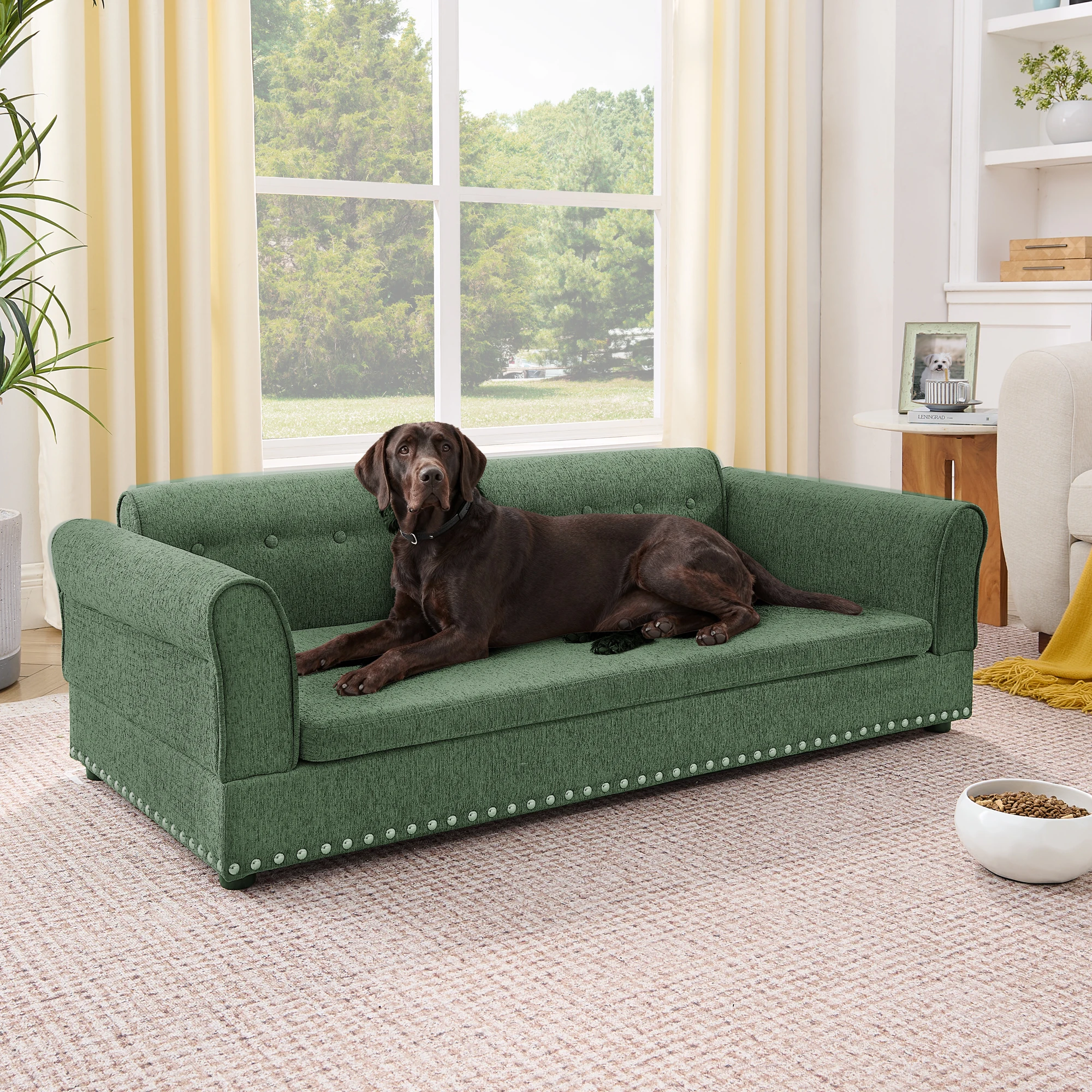 Oversized Pet Sofa Bed Modern Linen Fabric Elevated Dog Bed With Backrest For Large Dogs Olive Green
Oversized Pet Sofa Bed Modern Linen Fabric Elevated Dog Bed With Backrest For Large Dogs Olive Green
