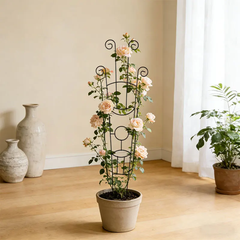 ZML flower stand climbing vine plant climbing flower pot bracket supporting courtyard fence fixed wrought iron shelf
ZML flower stand climbing vine plant climbing flower pot bracket supporting courtyard fence fixed wrought iron shelf