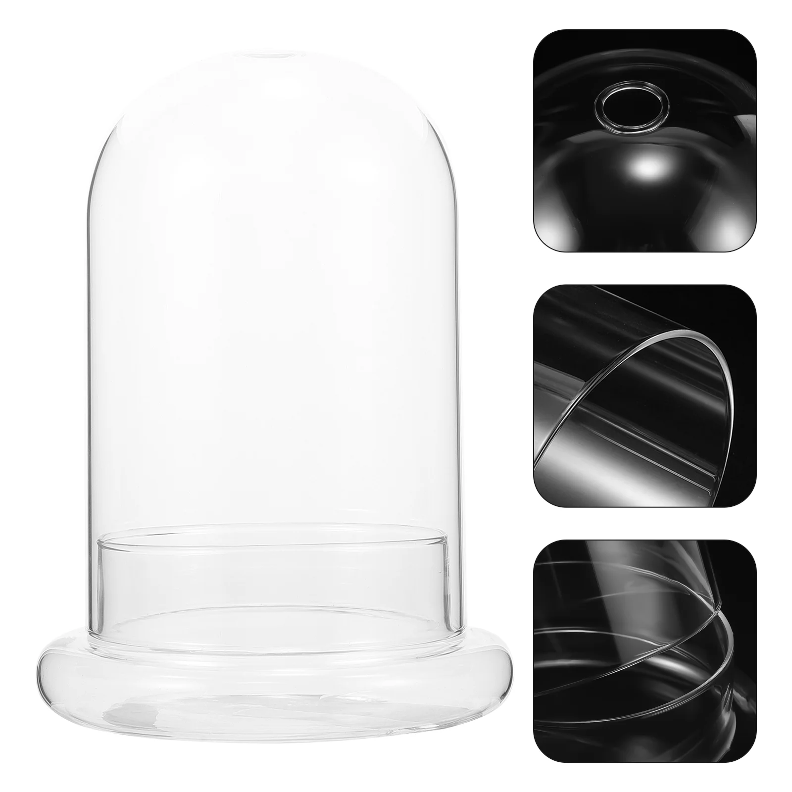 Landscape Ecological Bottle Clear Display Cloche Glass Dome Decoration Plant Bell Jar Micro DIY The
Landscape Ecological Bottle Clear Display Cloche Glass Dome Decoration Plant Bell Jar Micro DIY The
