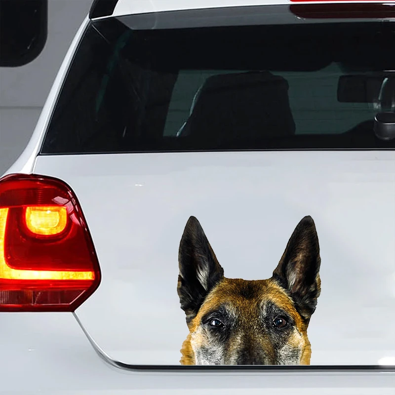 Car Sticker German Shepherd Dog Pet Animal Waterproof Vinyl Decal Car Accessories Decor Pegatinas Para Coche #V1366
Car Sticker German Shepherd Dog Pet Animal Waterproof Vinyl Decal Car Accessories Decor Pegatinas Para Coche #V1366