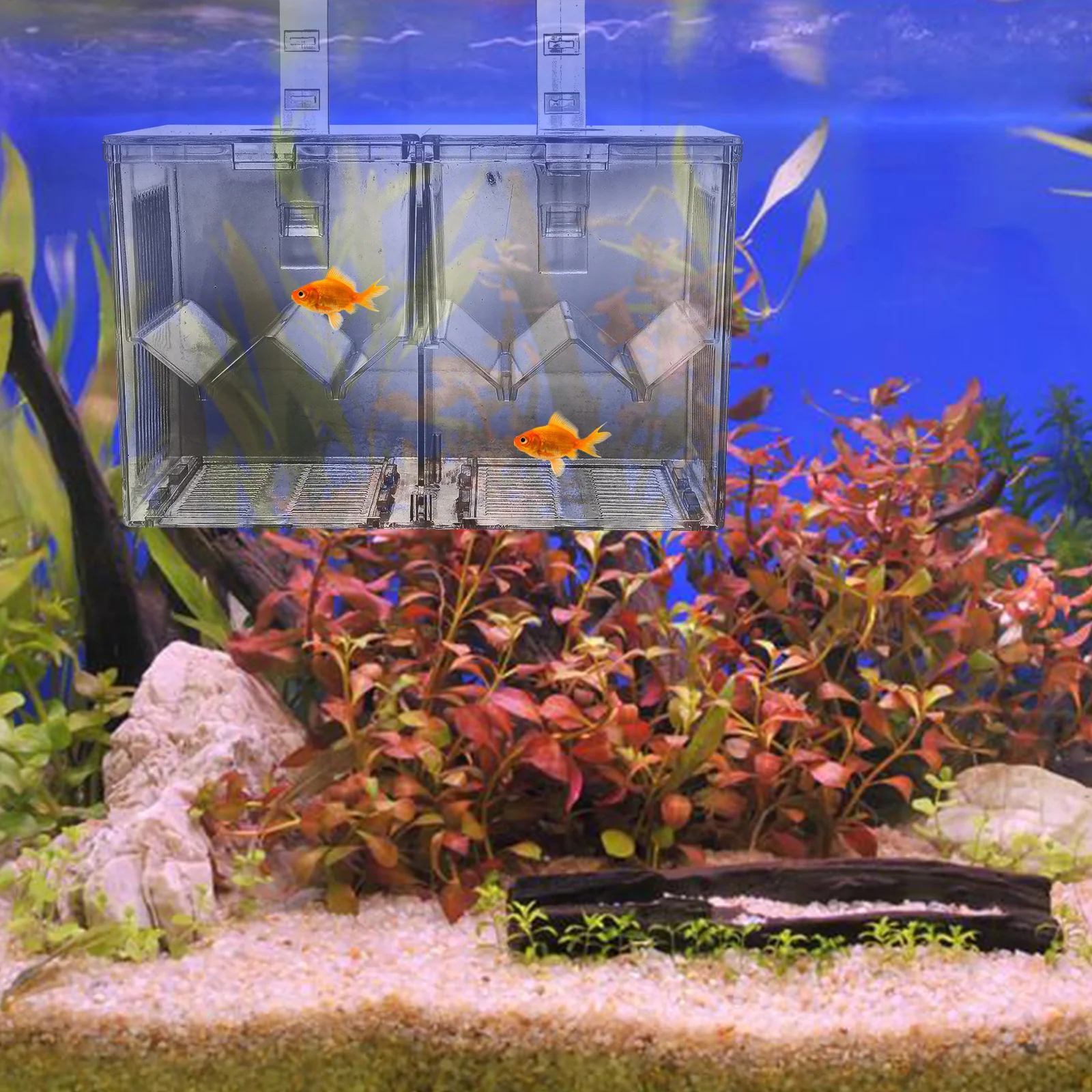 Stable Acrylic Aquarium Breeding Hatchery Fish Isolation Box Fish Tank Incubator Holder Fry Nursery Tank Container
Stable Acrylic Aquarium Breeding Hatchery Fish Isolation Box Fish Tank Incubator Holder Fry Nursery Tank Container