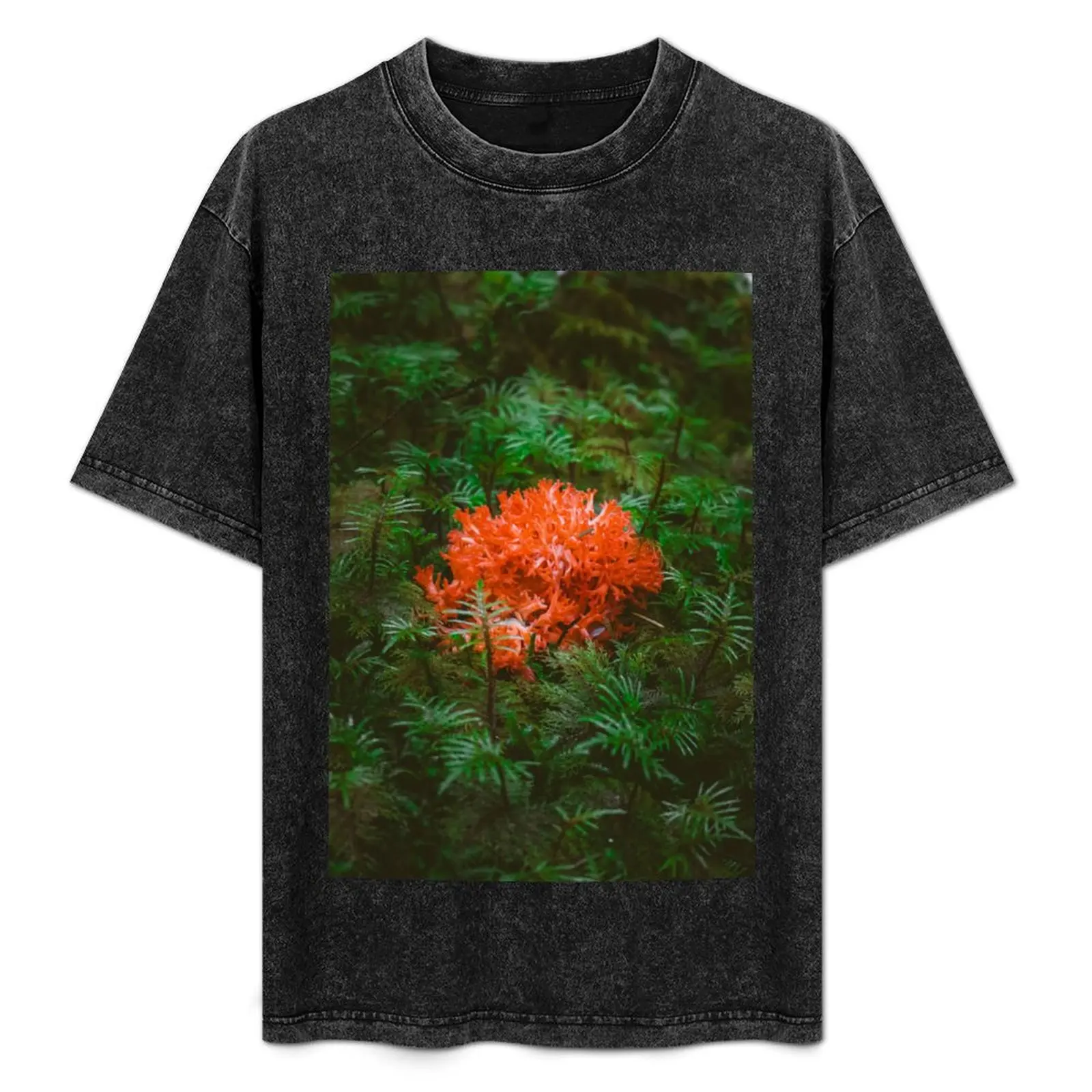 Pacific Northwest Coral Fungi T-Shirt Thanksgiving Day Tee Top
Pacific Northwest Coral Fungi T-Shirt Thanksgiving Day Tee Top