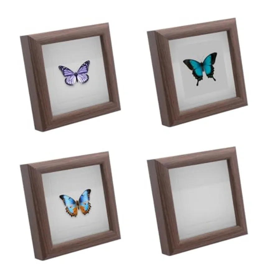 4 PCS Insect Display Case, Butterfly Shadow Box for Insect Display Insect Specimen Storage Box Specimen Showcase for Bug Butter
4 PCS Insect Display Case, Butterfly Shadow Box for Insect Display Insect Specimen Storage Box Specimen Showcase for Bug Butter