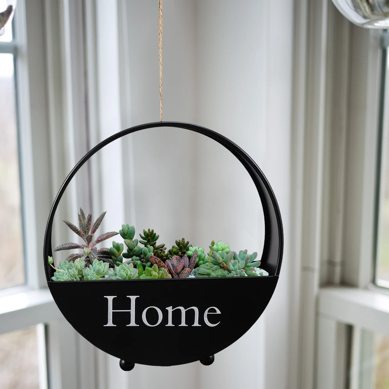 1Pcs Hanging Wall Flowerpot Iron Craft Rounded Plant Container for Succulent Cacti Balcony Patio Decorative Hanging Plant Pot
1Pcs Hanging Wall Flowerpot Iron Craft Rounded Plant Container for Succulent Cacti Balcony Patio Decorative Hanging Plant Pot