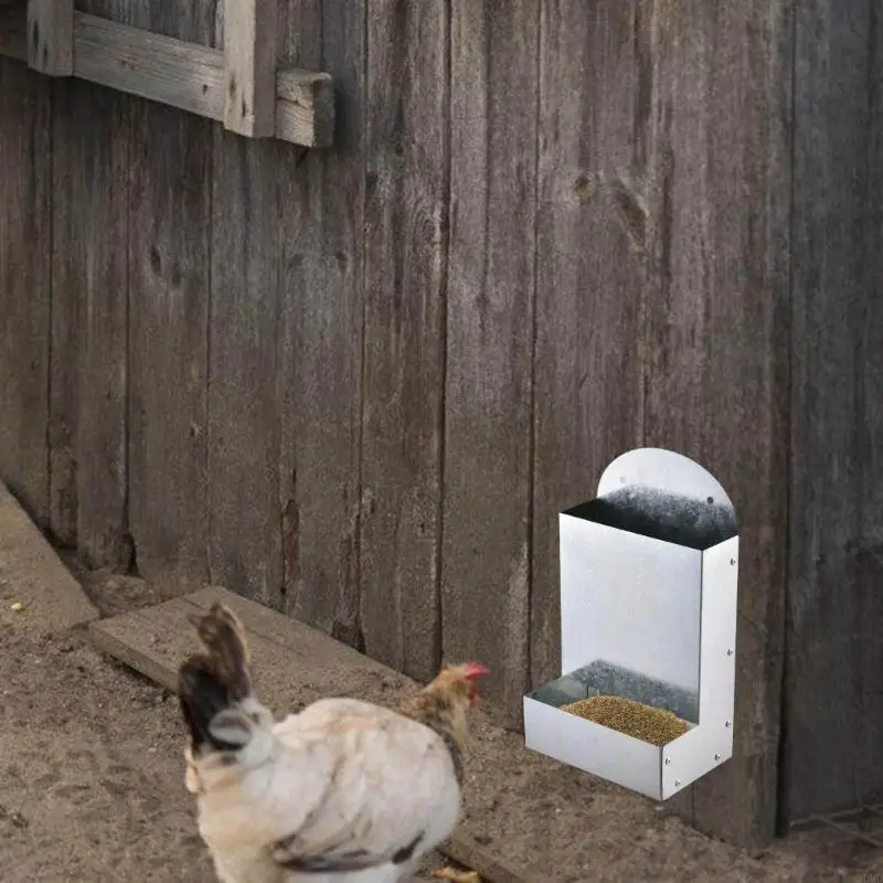 Neat Poultry Container Holds Additives For Strong Eggshells Minerals Feeder JOMD
Neat Poultry Container Holds Additives For Strong Eggshells Minerals Feeder JOMD