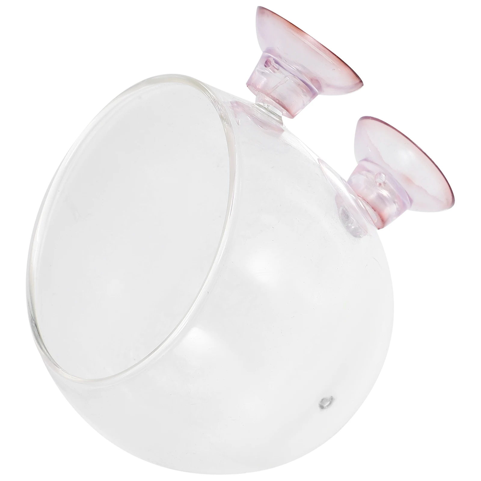 Mini Planter 6.5X6.5X6Cm Transparent Aquatic Plant Pot Bowl Holder Suction Cup Fish Tank Garden Decor Container 
Mini Planter 6.5X6.5X6Cm Transparent Aquatic Plant Pot Bowl Holder Suction Cup Fish Tank Garden Decor Container
