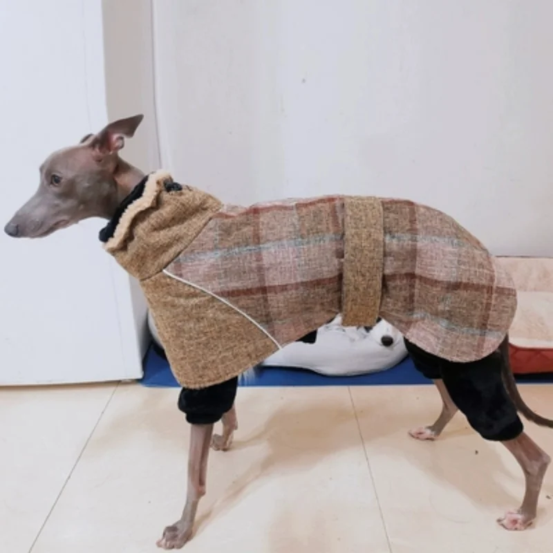 Winter Coat For Dogs To Keep Warm And Warm Durbin Fine Dogs To Keep Warm Cotton Coat For Medium And Large Dogs
Winter Coat For Dogs To Keep Warm And Warm Durbin Fine Dogs To Keep Warm Cotton Coat For Medium And Large Dogs