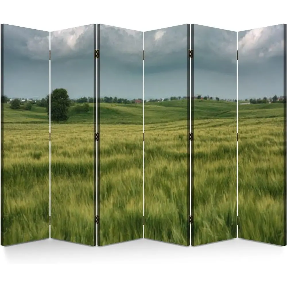 Перегородка для комнаты, настенная перегородка Sn Rolling Landse, сельская местность, деревья под голубым облачным небом, портативная перегородка, сепаратор комнаты Pa
Перегородка для комнаты, настенная перегородка Sn Rolling Landse, сельская местность, деревья под голубым облачным небом, портативная перегородка, сепаратор комнаты Pa