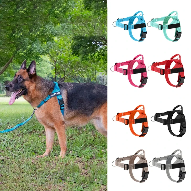 Personalized Reflective No Pull Harness for Small Medium Dog Washable Explosion-proof Comfort Dog Harnesses Pechera Para Perro
Personalized Reflective No Pull Harness for Small Medium Dog Washable Explosion-proof Comfort Dog Harnesses Pechera Para Perro