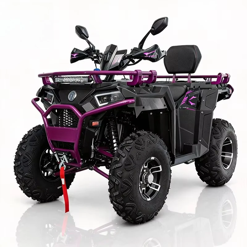 Two-seater 200CC250cc Heavy Duty Fuel-powered ATV 4x4 Farm Snow Mountain Off-Road Vehicle with Winch
Two-seater 200CC250cc Heavy Duty Fuel-powered ATV 4x4 Farm Snow Mountain Off-Road Vehicle with Winch