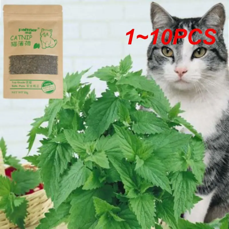 1 ~ 10 шт. новая Органическая 100% натуральная кошачья мята трава для крупного рогатого скота 10 г Кошка Мятные листья искусственная смешная тренировочная игрушка для кошек товары для кошек
1 ~ 10 шт. новая Органическая 100% натуральная кошачья мята трава для крупного рогатого скота 10 г Кошка Мятные листья искусственная смешная тренировочная игрушка для кошек товары для кошек