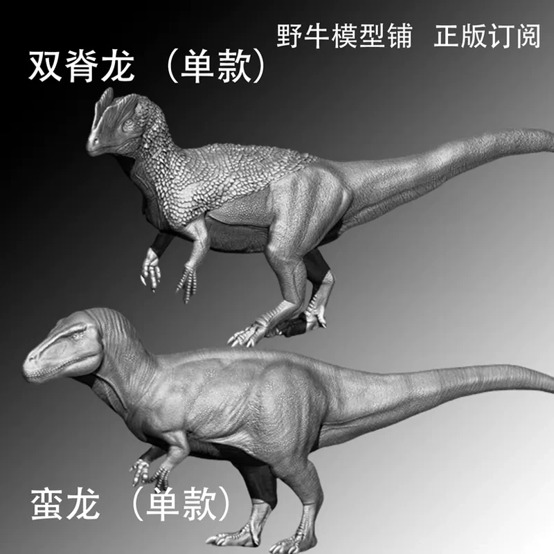 1/35 15cm Diplodocus Torvosaurus Model Toy Modern Animals Model Gk Customize 3D Printing
1/35 15cm Diplodocus Torvosaurus Model Toy Modern Animals Model Gk Customize 3D Printing