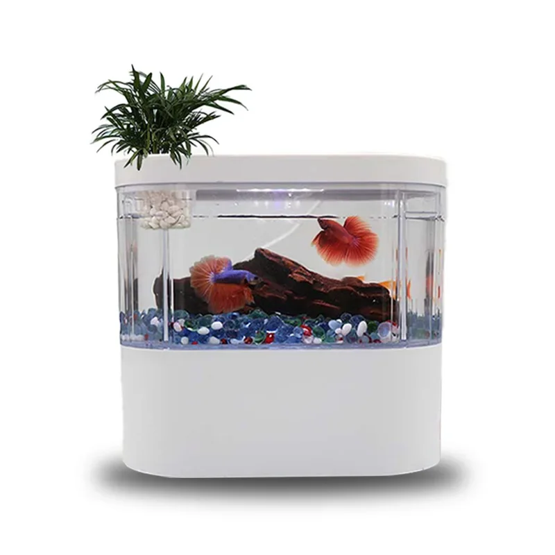 Для настольного аквариума USB Mini, встроенный водяной насос/светодиодный светильник/фильтр, самоциркуляция и самоциркуляция, резервуар для золотой рыбки
Для настольного аквариума USB Mini, встроенный водяной насос/светодиодный светильник/фильтр, самоциркуляция и самоциркуляция, резервуар для золотой рыбки