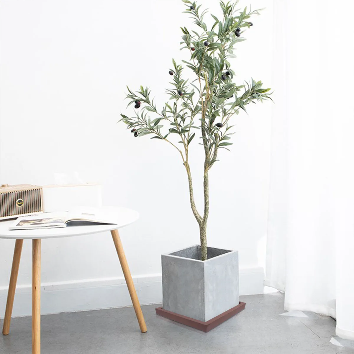 Square Tray Plant Pot Base Potted Drip The Dish Flower Trays for Plants Pots Indoor 
Square Tray Plant Pot Base Potted Drip The Dish Flower Trays for Plants Pots Indoor