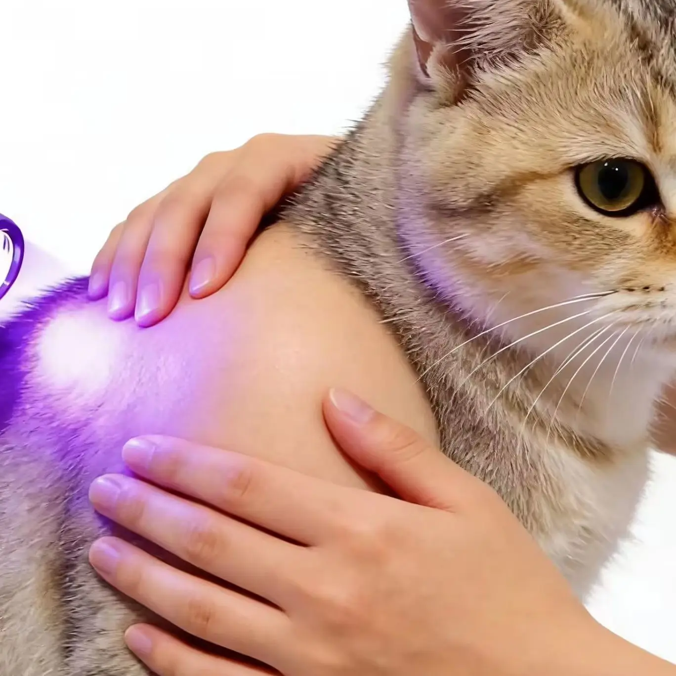 Лазерный терапевтический аппарат двойного назначения с 5 длинами волн (460 нм, 630 нм, 660 нм, 850 нм, 900 нм) для людей, домашних животных (собак, кошек, лошадей) для снятия боли
Лазерный терапевтический аппарат двойного назначения с 5 длинами волн (460 нм, 630 нм, 660 нм, 850 нм, 900 нм) для людей, домашних животных (собак, кошек, лошадей) для снятия боли