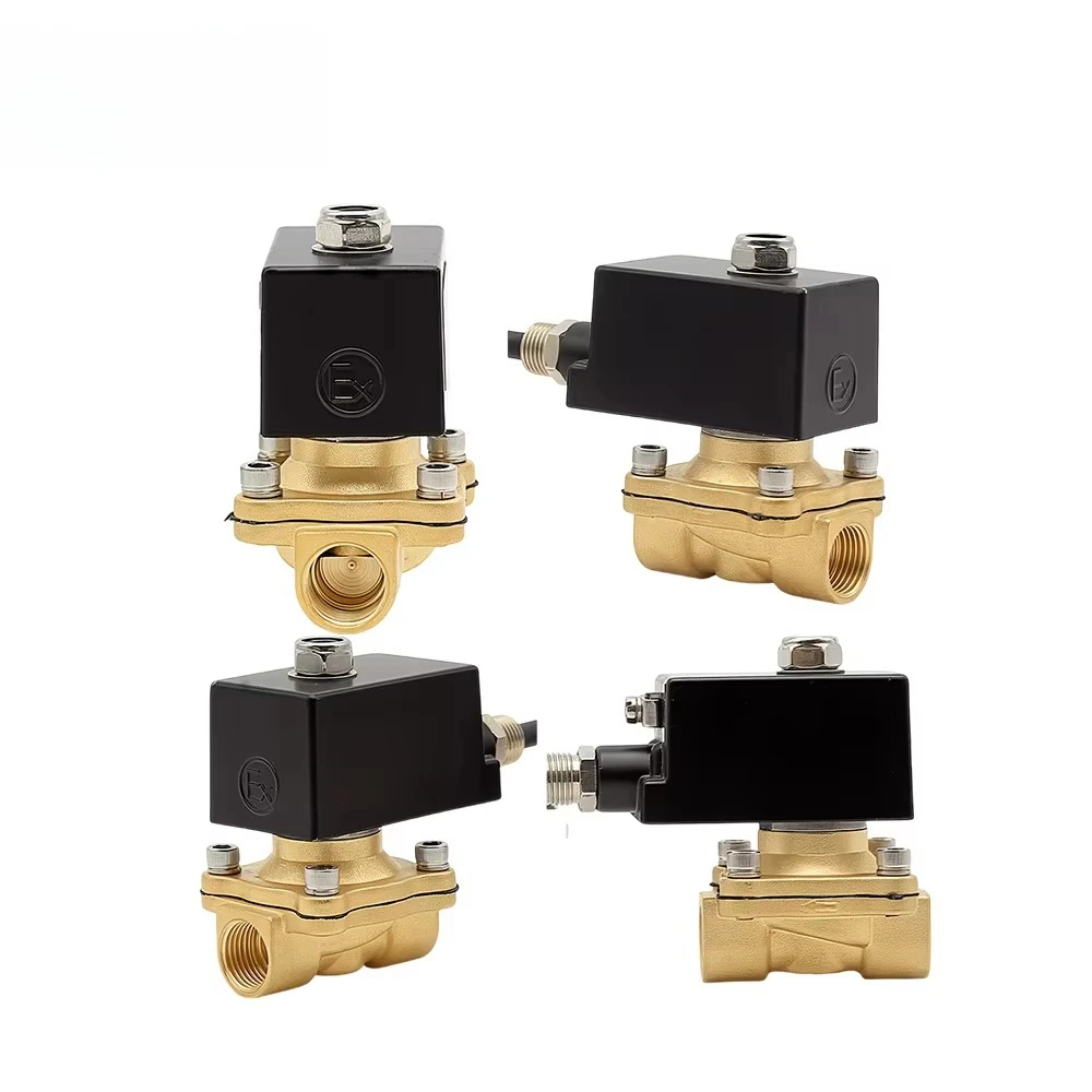 Латунный взрывозащищенный электромагнитный клапан управления электромагнитным клапаном для жидкостей системы обращения
Латунный взрывозащищенный электромагнитный клапан управления электромагнитным клапаном для жидкостей системы обращения