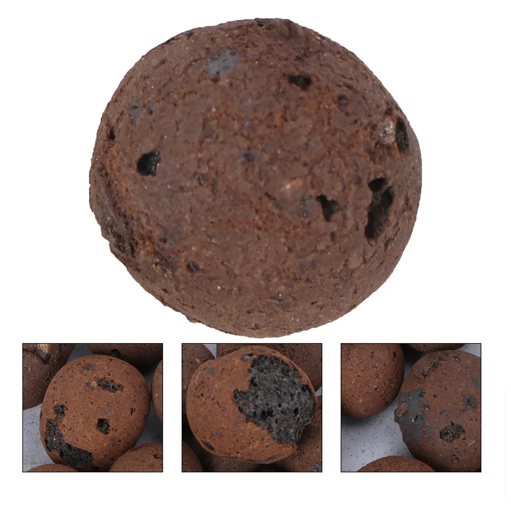 Succulent Stone Mix Soil Ceramsite Rocks Pebbles for Planters Small Hydroponics Clay
Succulent Stone Mix Soil Ceramsite Rocks Pebbles for Planters Small Hydroponics Clay