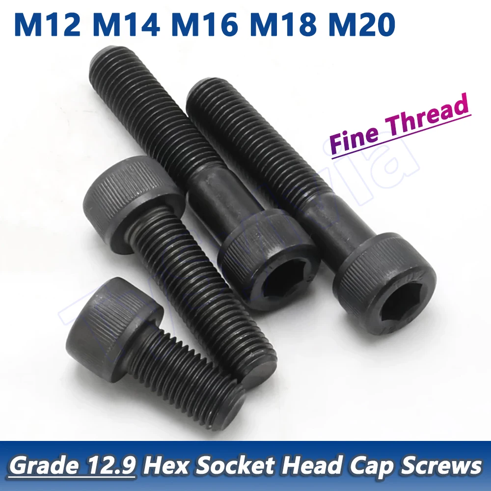 Grade 12.9 High Strength Fine Thread Hex Socket Head Cap Screws M12 M14 M16 M18 M20 DIN912 Allen Bolts
Grade 12.9 High Strength Fine Thread Hex Socket Head Cap Screws M12 M14 M16 M18 M20 DIN912 Allen Bolts