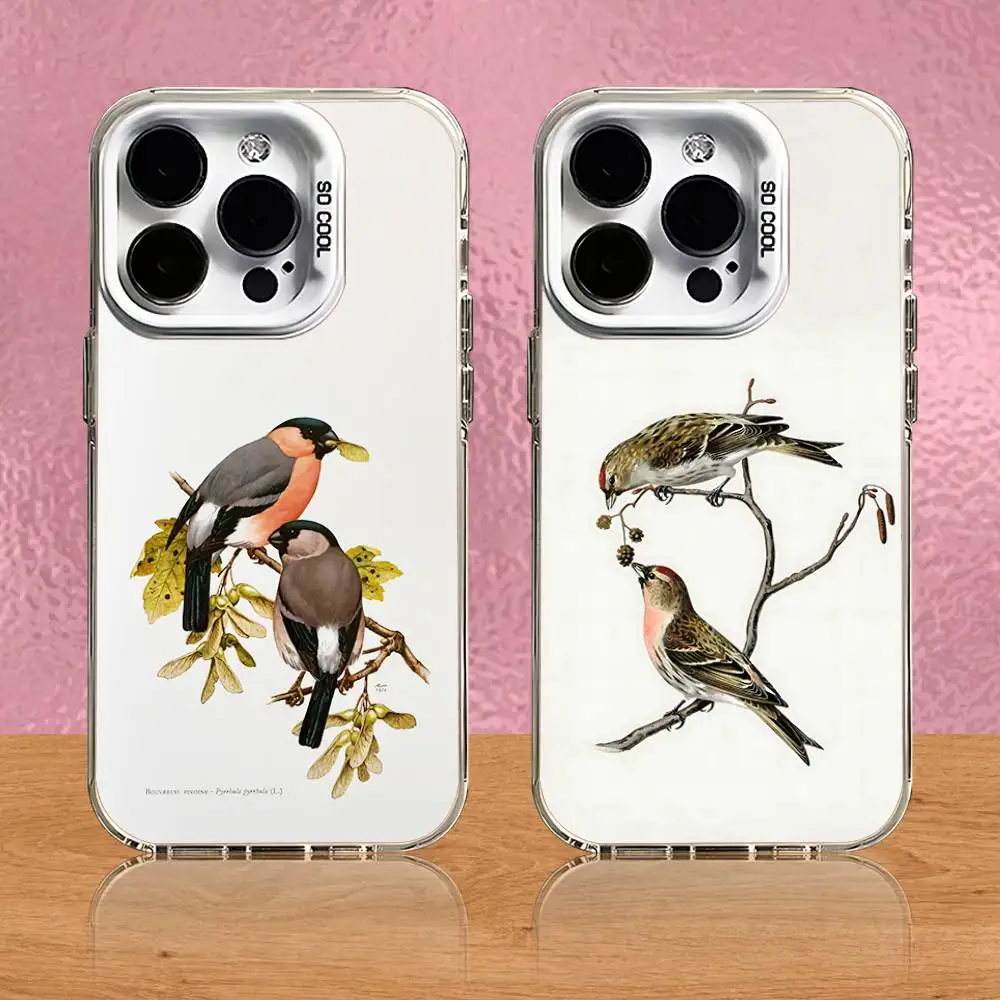 French Birds Ornithology Phone Case For iPhone 16,15,14,13,12,11,Pro,Max,Plus,Mini,SE White Candy Matte Shockproof Cover 
French Birds Ornithology Phone Case For iPhone 16,15,14,13,12,11,Pro,Max,Plus,Mini,SE White Candy Matte Shockproof Cover