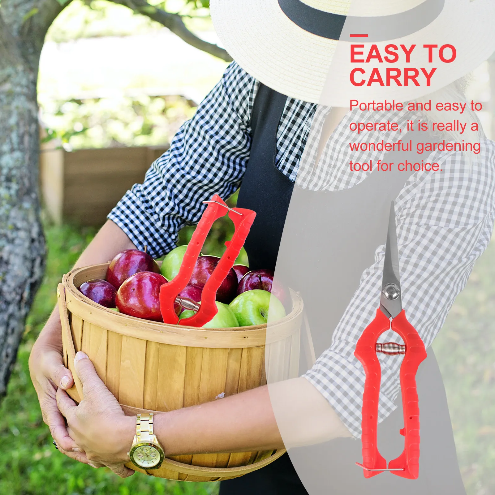 Professional Stainless Steel Garden Pruning Shears Portable Straight Head Fruit Picking Scissors Size L Multi-Functional
Professional Stainless Steel Garden Pruning Shears Portable Straight Head Fruit Picking Scissors Size L Multi-Functional