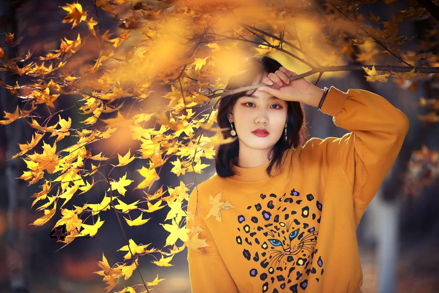 1.3" Aluminum Beadlock Wheels & Mud Terrain Tires Set for 1/24 & 1/18 RC Crawlers Ascent18 SCX24 TRX4M Upgrades
1.3" Aluminum Beadlock Wheels & Mud Terrain Tires Set for 1/24 & 1/18 RC Crawlers Ascent18 SCX24 TRX4M Upgrades