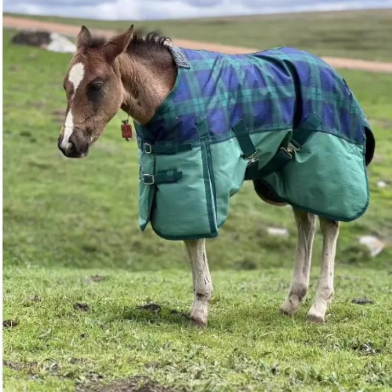 Thickened waterproof, breathable and not stuffy in winter 600D Oxford fabric anti-bite horse jacket, quality assurance
Thickened waterproof, breathable and not stuffy in winter 600D Oxford fabric anti-bite horse jacket, quality assurance