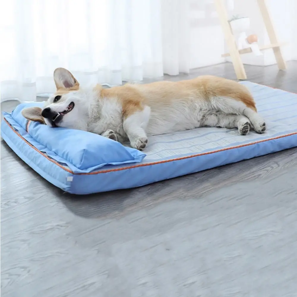 Practical Soft Pet Cool Mattress Removable Breathable Summer Dog Bed Washable with Pillow Cats Cooling Pad Indoor
Practical Soft Pet Cool Mattress Removable Breathable Summer Dog Bed Washable with Pillow Cats Cooling Pad Indoor