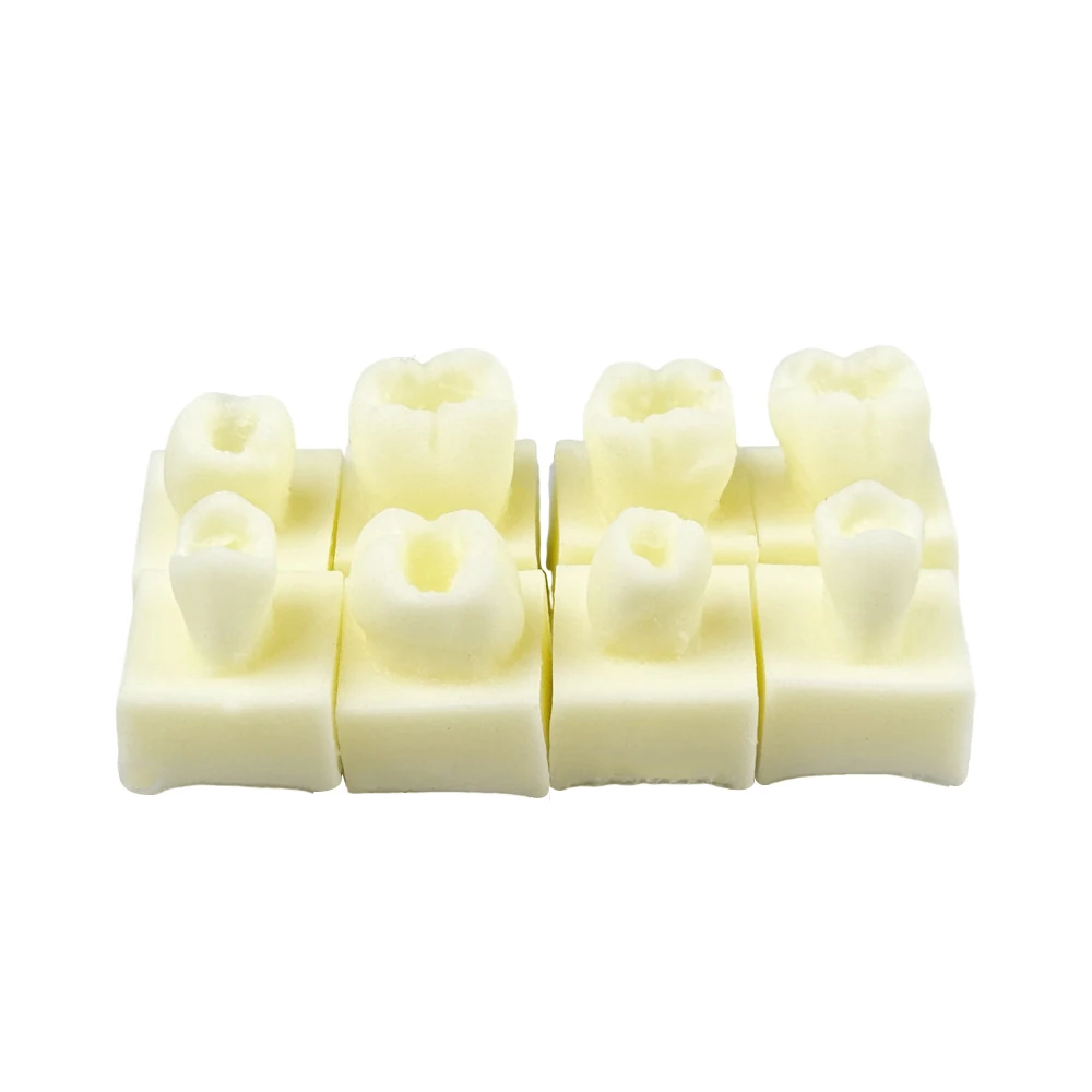 Resin Filling Dental Practice Model Exercise Tooth Block Filling Exercise Typodont Dentist Restoration Cavity Anterior Posterior
Resin Filling Dental Practice Model Exercise Tooth Block Filling Exercise Typodont Dentist Restoration Cavity Anterior Posterior