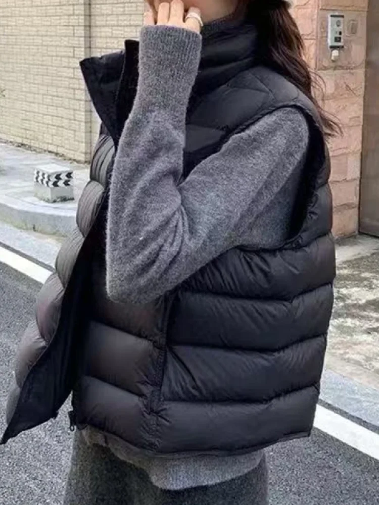 Модная трендовая женская хлопковая куртка с воротником-стойкой, приталенная, свободного кроя, на молнии, в корейском стиле, для повседневной носки
Модная трендовая женская хлопковая куртка с воротником-стойкой, приталенная, свободного кроя, на молнии, в корейском стиле, для повседневной носки