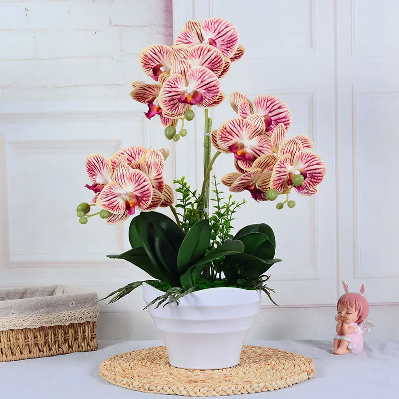 3d Feel White Phalaenopsis Artificial Flower Purple Artificial Flower Bonsai Floriculture Material Home Decoration Floriculture
3d Feel White Phalaenopsis Artificial Flower Purple Artificial Flower Bonsai Floriculture Material Home Decoration Floriculture