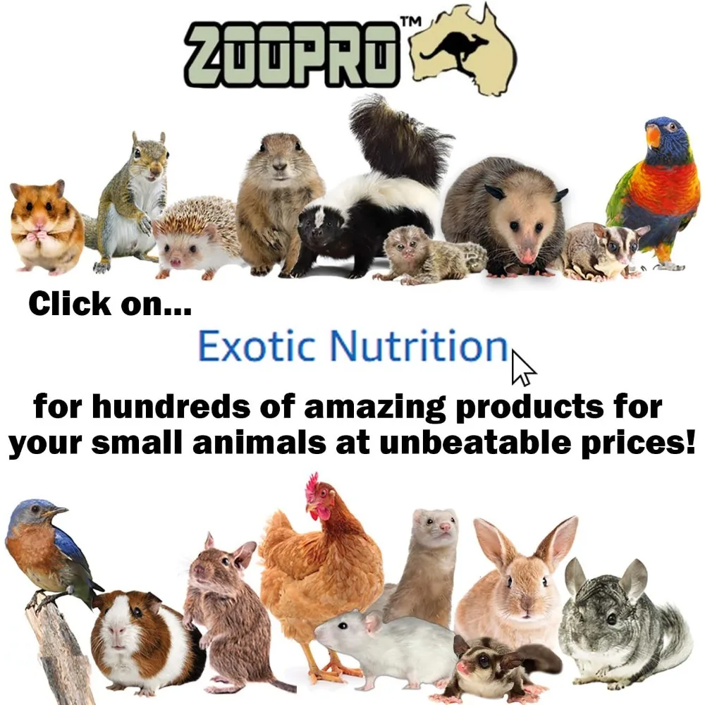 Brisbane Cage & Starter Package for Sugar Gliders - Includes Durable Cage, Healthy Food Variety, Exercise Wheel, Food Dishes,
Brisbane Cage & Starter Package for Sugar Gliders - Includes Durable Cage, Healthy Food Variety, Exercise Wheel, Food Dishes,