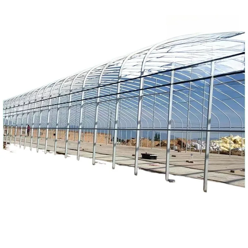 Greenhouse greenhouse skeleton vegetable cultivation steel pipe steel frame pig house cow shed sheep pen
Greenhouse greenhouse skeleton vegetable cultivation steel pipe steel frame pig house cow shed sheep pen