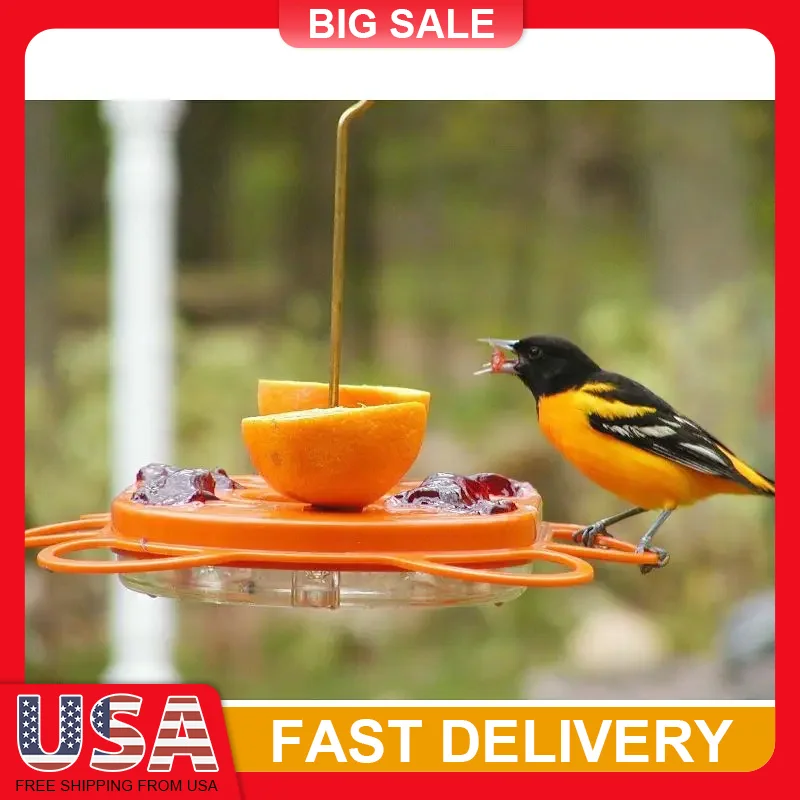Bird Feeder for Nectar Oranges Jelly 12oz 4 Feeding Ports with Ant Guard UV Stable Dishwasher Safe Freeze Proof Polycarbonate
Bird Feeder for Nectar Oranges Jelly 12oz 4 Feeding Ports with Ant Guard UV Stable Dishwasher Safe Freeze Proof Polycarbonate