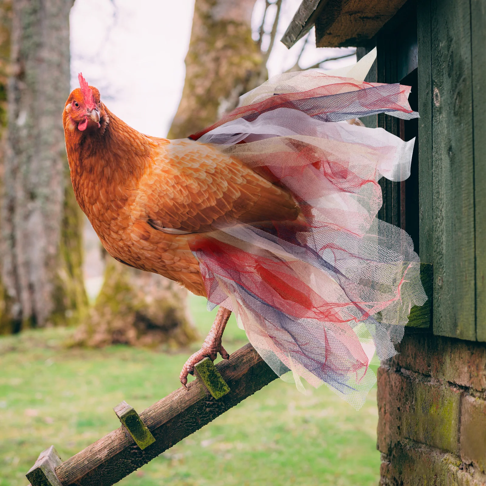 Chicken Skirt Decorative Gauze Poultry Costume Protector Breathable Wear-Resistant Foldable Easy Carry Colorful
Chicken Skirt Decorative Gauze Poultry Costume Protector Breathable Wear-Resistant Foldable Easy Carry Colorful