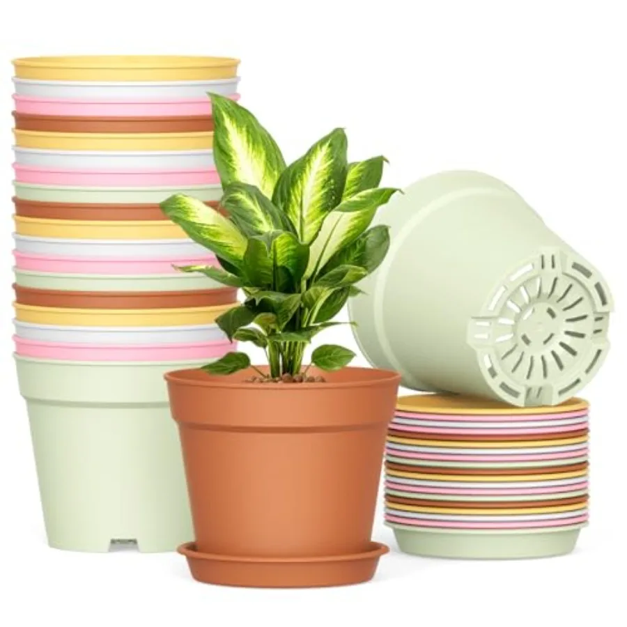 20 Pack 6 Inch Plant Pots with Drainage and Saucers, Plastic Flower Pots for Indoor and Outdoor Plants, Stackable Nursery Plant
20 Pack 6 Inch Plant Pots with Drainage and Saucers, Plastic Flower Pots for Indoor and Outdoor Plants, Stackable Nursery Plant