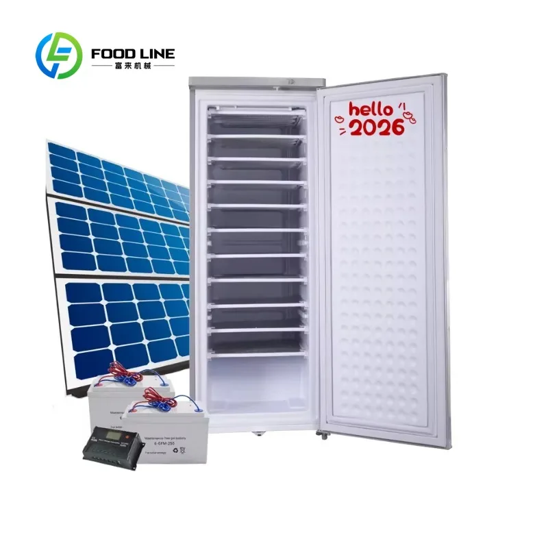 Customized Solar Powered Ice Block Machine with 11 Layers 198L Dual DC AC Voltage Compressor Refrigerator 70kg Ice Daily
Customized Solar Powered Ice Block Machine with 11 Layers 198L Dual DC AC Voltage Compressor Refrigerator 70kg Ice Daily