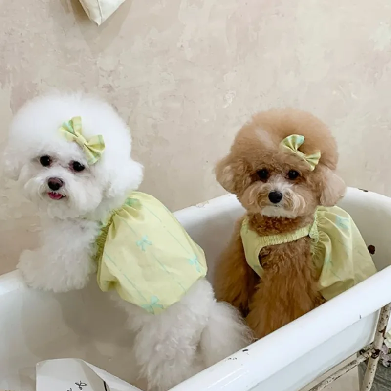 Bow Yellow Pet Clothes White Lace Ruffle Layers Dress for Small Dog Wedding Party Dress Princess Flower Girl Dog Clothes
Bow Yellow Pet Clothes White Lace Ruffle Layers Dress for Small Dog Wedding Party Dress Princess Flower Girl Dog Clothes