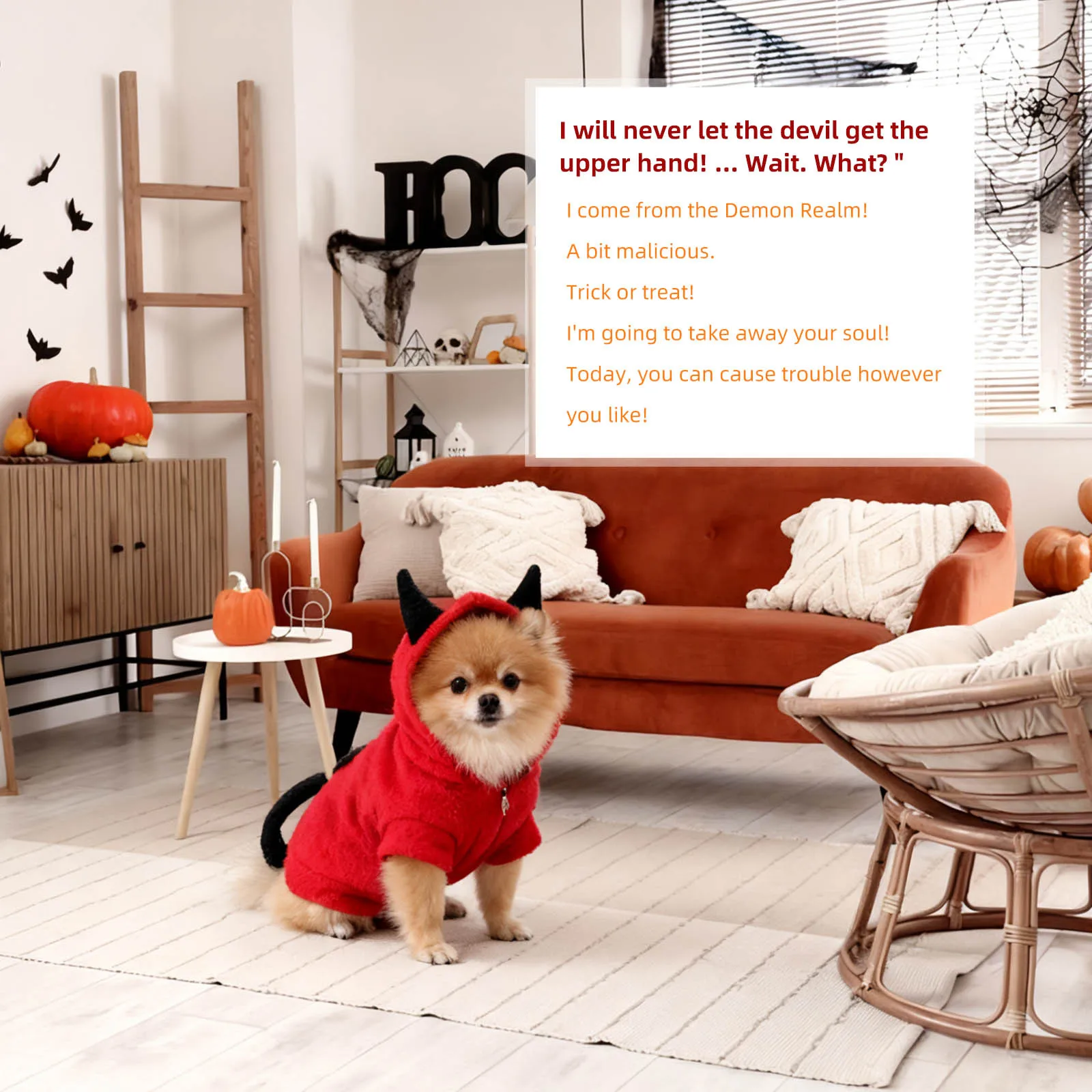 Small Dog Three-Dimensional Devil Costume Halloween Pet Clothes Pet Warm Costume Dog Coat Suitable for Outdoor Walking Jogging
Small Dog Three-Dimensional Devil Costume Halloween Pet Clothes Pet Warm Costume Dog Coat Suitable for Outdoor Walking Jogging