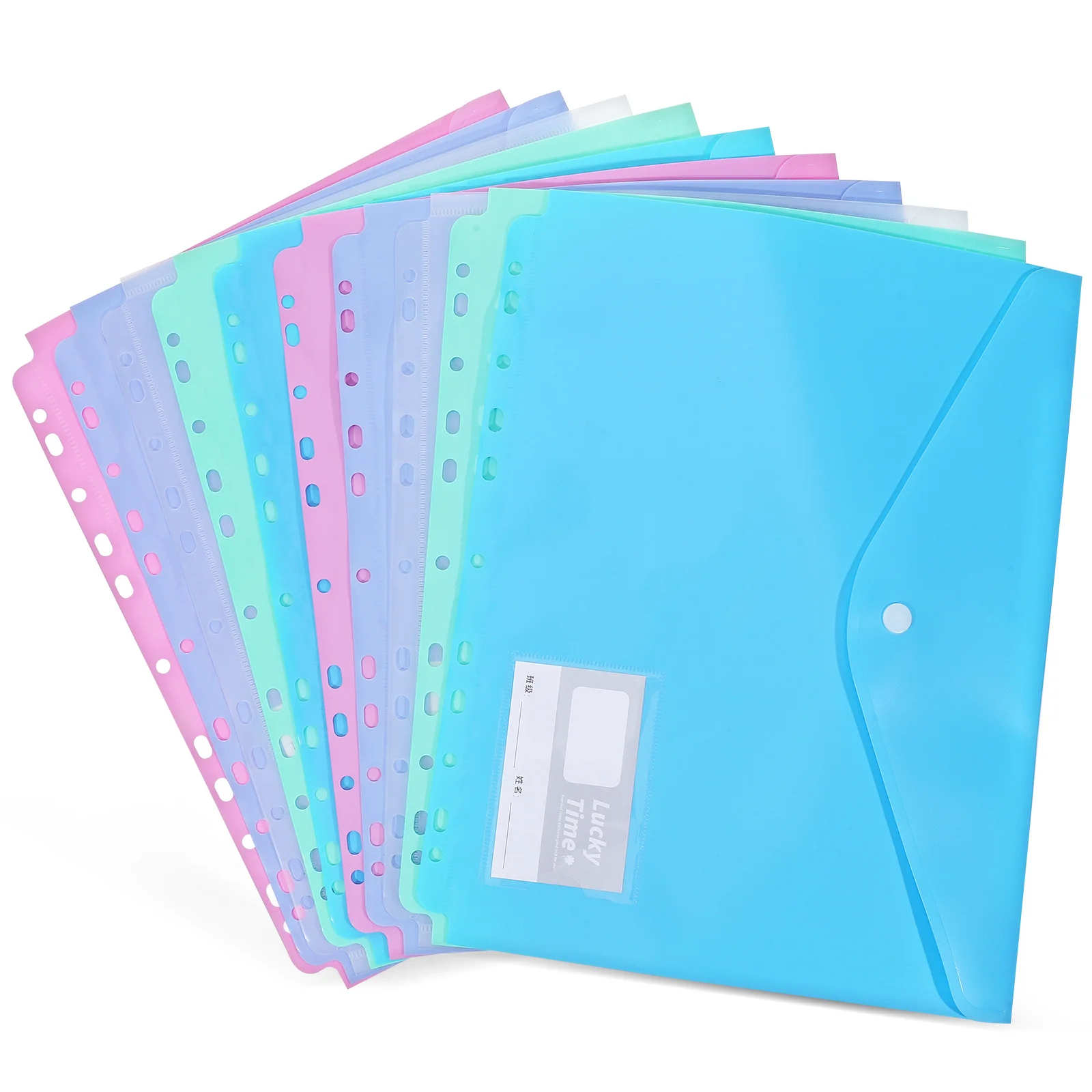 10 Pcs File Folders Document Bags Large Capacity Waterproof Office School Travel Plastic Envelopes Organizer
10 Pcs File Folders Document Bags Large Capacity Waterproof Office School Travel Plastic Envelopes Organizer