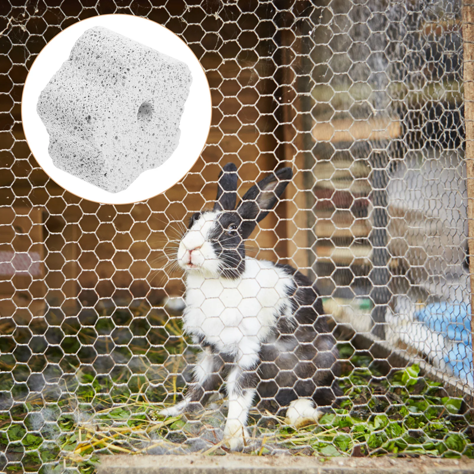 10Pcs Hamster Molar Stone Bright Color Teeth Grinding Stone for Bunny Chinchilla Rodent Dental Care Chew Accessories
10Pcs Hamster Molar Stone Bright Color Teeth Grinding Stone for Bunny Chinchilla Rodent Dental Care Chew Accessories