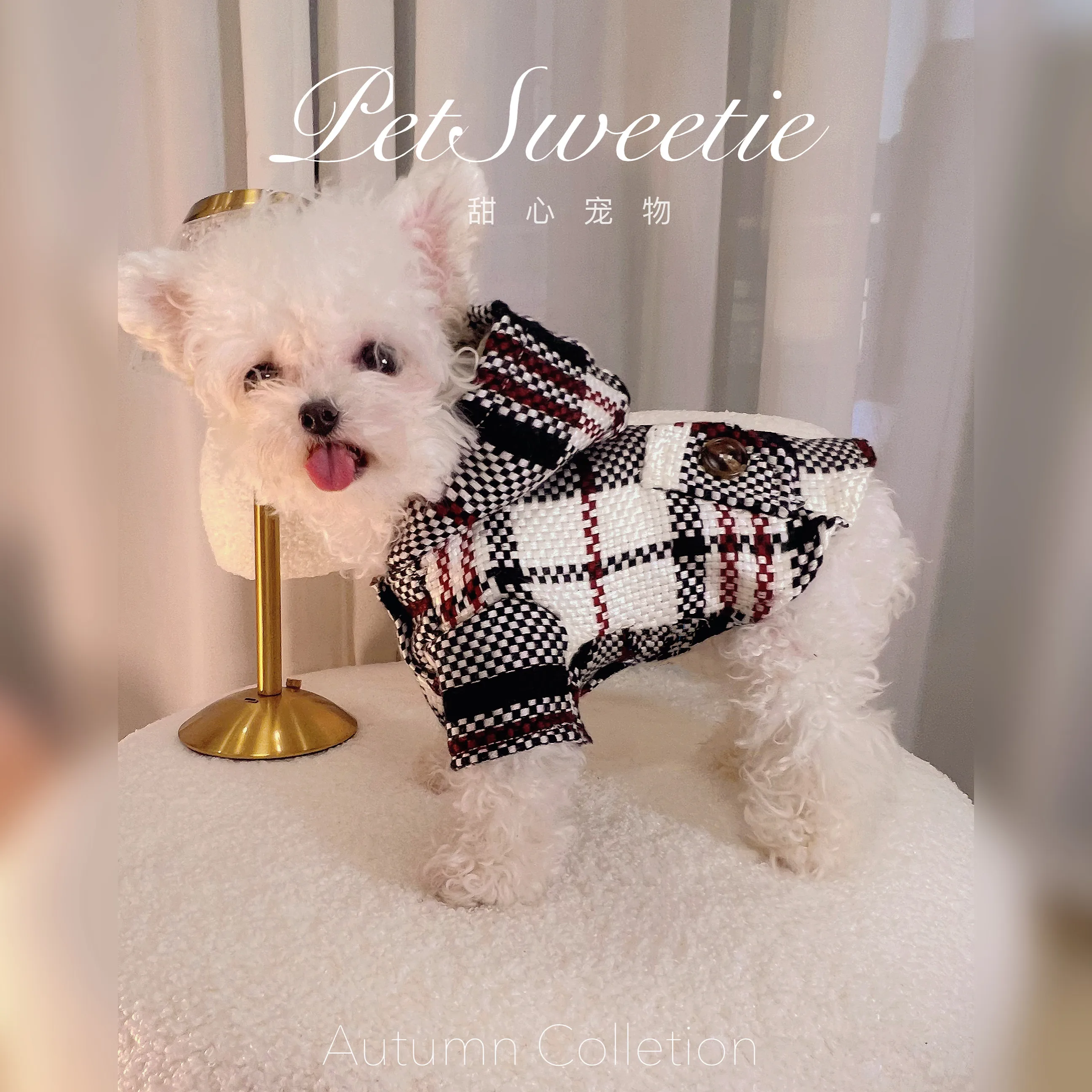 Early Autumn Pet Apparel York Summer Autumn Apparel Marquis Tea Cup Suit Windbreaker
Early Autumn Pet Apparel York Summer Autumn Apparel Marquis Tea Cup Suit Windbreaker