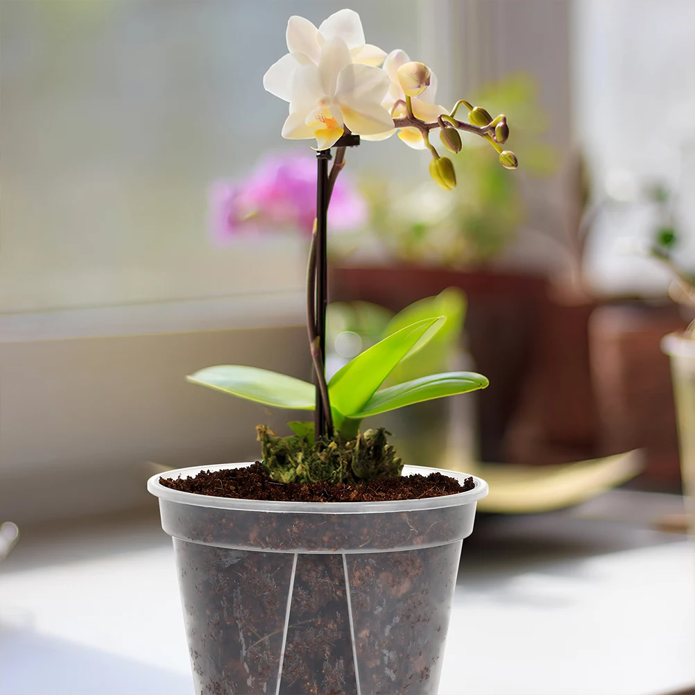 4 Sets Basin Orchid Pot Decorative Planting Nursery Pp Plastic Flower Pots for Phalaenopsis Clear drainage holes
4 Sets Basin Orchid Pot Decorative Planting Nursery Pp Plastic Flower Pots for Phalaenopsis Clear drainage holes