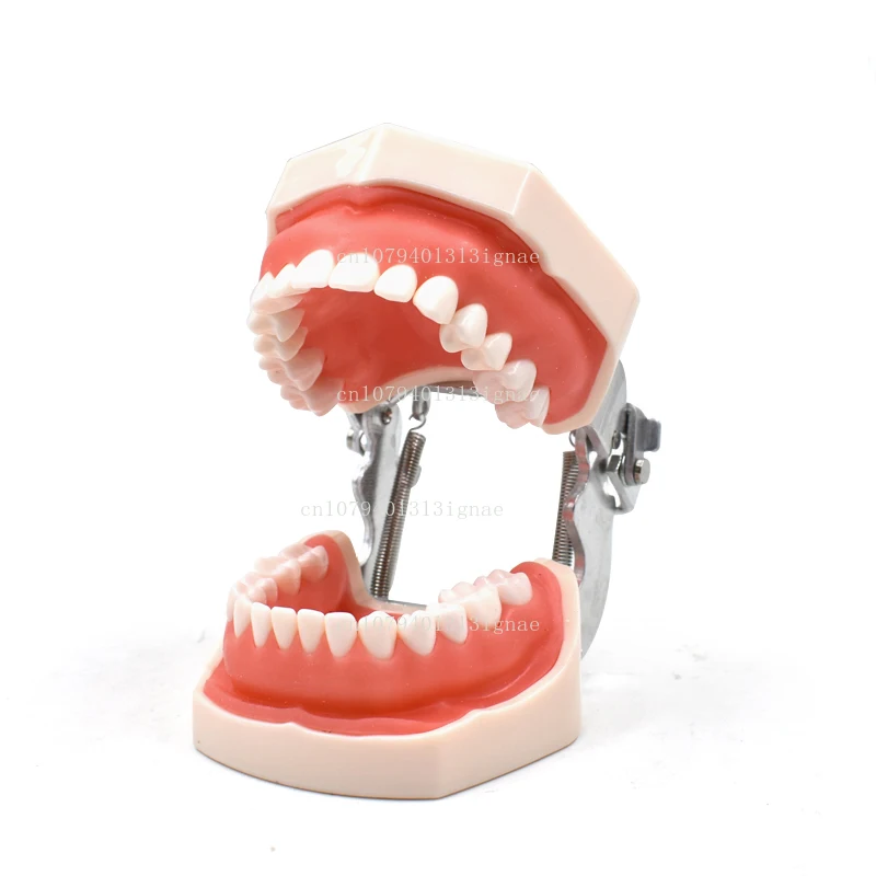 28 dental dental materials resin oral appliance implantation in vitro particle preparation model pulp model exercise
28 dental dental materials resin oral appliance implantation in vitro particle preparation model pulp model exercise