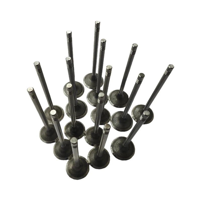 JAC refine M4 M5 T6 T8 4GA3-4D Engine intake valve, engine exhaust valve, engine cylinder head valve 1003202GD190 1003201GD190
JAC refine M4 M5 T6 T8 4GA3-4D Engine intake valve, engine exhaust valve, engine cylinder head valve 1003202GD190 1003201GD190