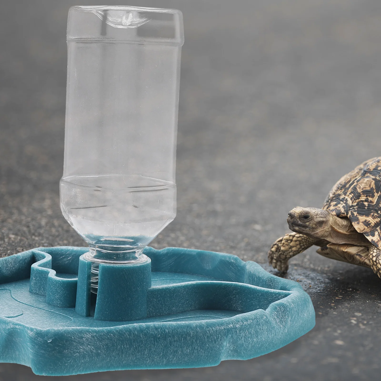 Automatic Water Dispenser Reptile Waterer Turtle Feeding Accessories Durable Food Grade Plastic Pet Feed Dish Smooth Easy
Automatic Water Dispenser Reptile Waterer Turtle Feeding Accessories Durable Food Grade Plastic Pet Feed Dish Smooth Easy